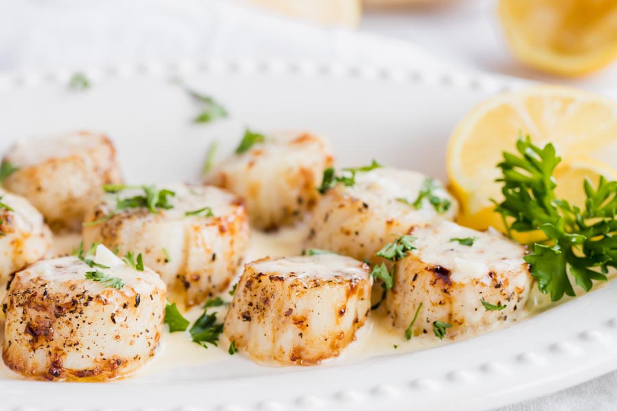a plate of juicy scallops dredge in a garliky cream sauce
