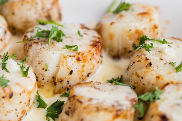 cooked scallops sitting in a creamy sauce