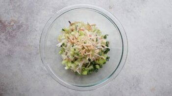 Canned chicken, shredded cabbage, bean sprouts, celery, green onions, and dressing added to a bowl before mixing.