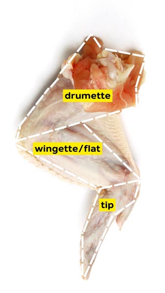 A chicken wing with dotted lines showing the separation of drumette from wingette/flat and tip.