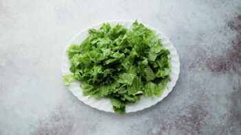 A plate with chopped lettuce on it.