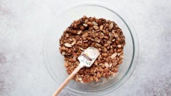 a bowl with nuts and seeds mixed together and a spatula on top