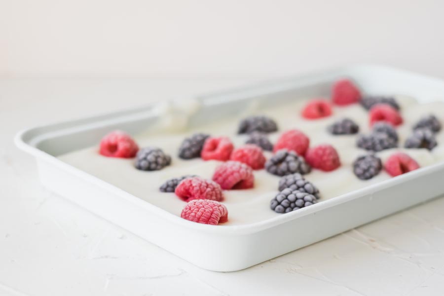 a white tray with white yogurt and colorful fruit in it