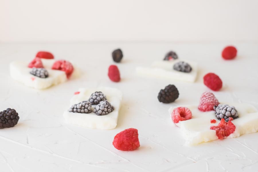 berry yogurt snacks on the table