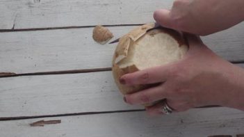 cutting notches in a whole jicama in order to peel the skin off