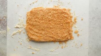 The giant chicken patty coated evenly with crispy pork panko breading.