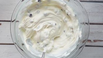 creamy yogurt with chocolate chips