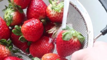 washing strawberries under the facet in the sink