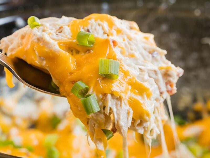 scooping out a spoonful of creamy shredded chicken topped with melted cheddar cheese