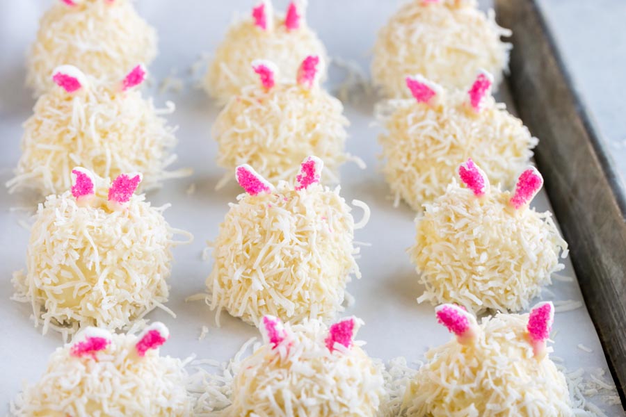 white cheesecake bunnies with shredded coconut and pink marshmallow ears in a row