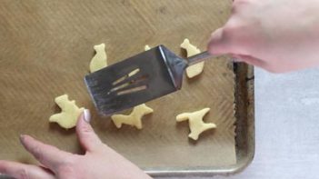 animal cutouts on a baking tray with parchment paper