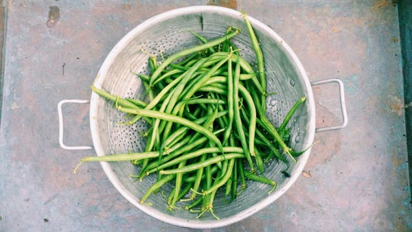 a colander filled with whole green beans