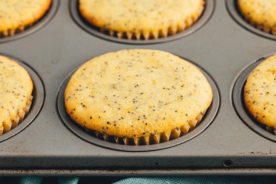 Baked muffins filled with poppyseeds in a muffin tray.