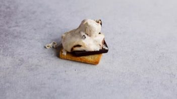 a toasted marshmallow on top of a chocolate square