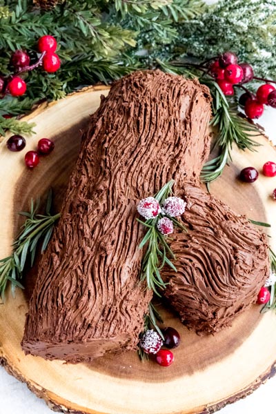 Looking down onto a cake that looks like a log with a branch and frosting that looks like bark.