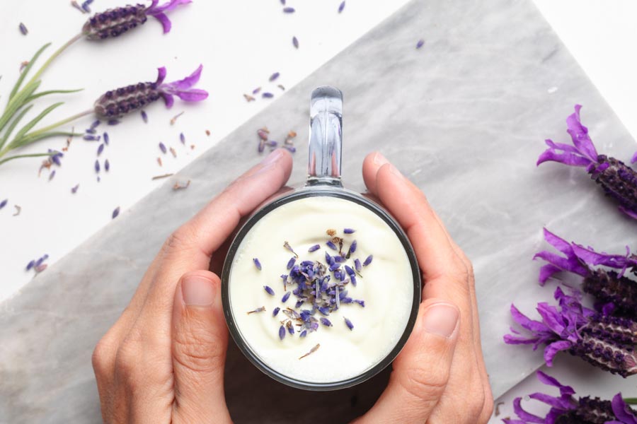 Hands holding a warm mug of frothy lavender milk tea garnished with dried lavender and surrounded by fresh lavender flowers.