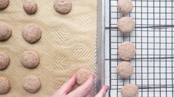 snickerdoodle cookie dough wrapped in plastic wrap