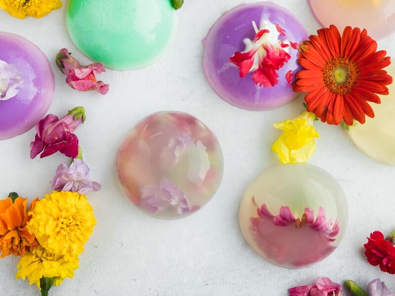 Looking down onto circular jelly like cakes filled with edible flowers. More colorful edible flowers the mini cakes.