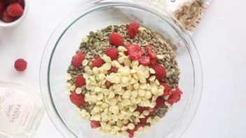a bowl with white chips and raspberries on top of seeds