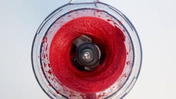 pureed strawberry sorbet in a food processor